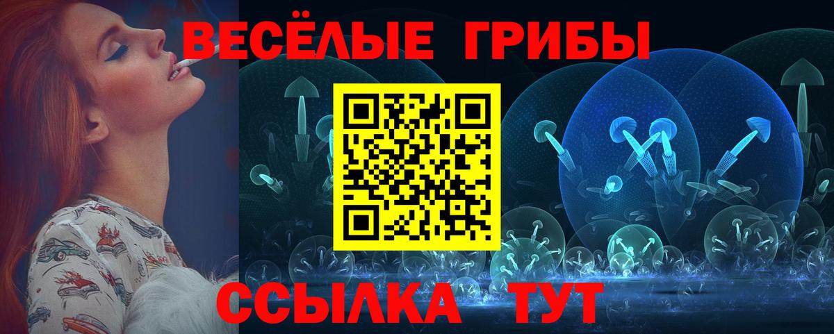 Истра  сколько стоит  Вход с VPN  Галлюциногенные грибы Psilocybe 