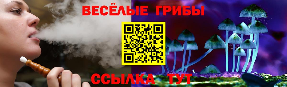 Галлюциногенные грибы ЛСД Истра